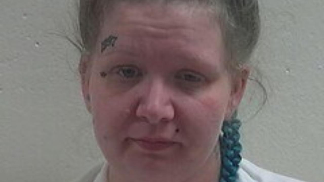 Taylor N Mangerson Charged with Warrant