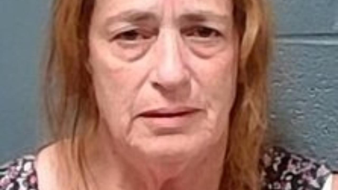 Werner, Annie Joyce Charged with 579.020-004Y202035 - Delivery of Controlled Substance Except 35 Grams or Less of Marijuana or Synthetic Cannabinoid; 303.025-002N201754 - Operate Motor Vehicle Owned by Another Knowing Owner of Vehicle Has Not Maintained Financial Responsibility - 1ST Offense; 304.019-002N197554 - Failed to Signal/Gave Improper Signal When Stopping/Turning Left or Right; 302.321-003Y202054 - Driving While Revoked/Suspended - 1ST Offense