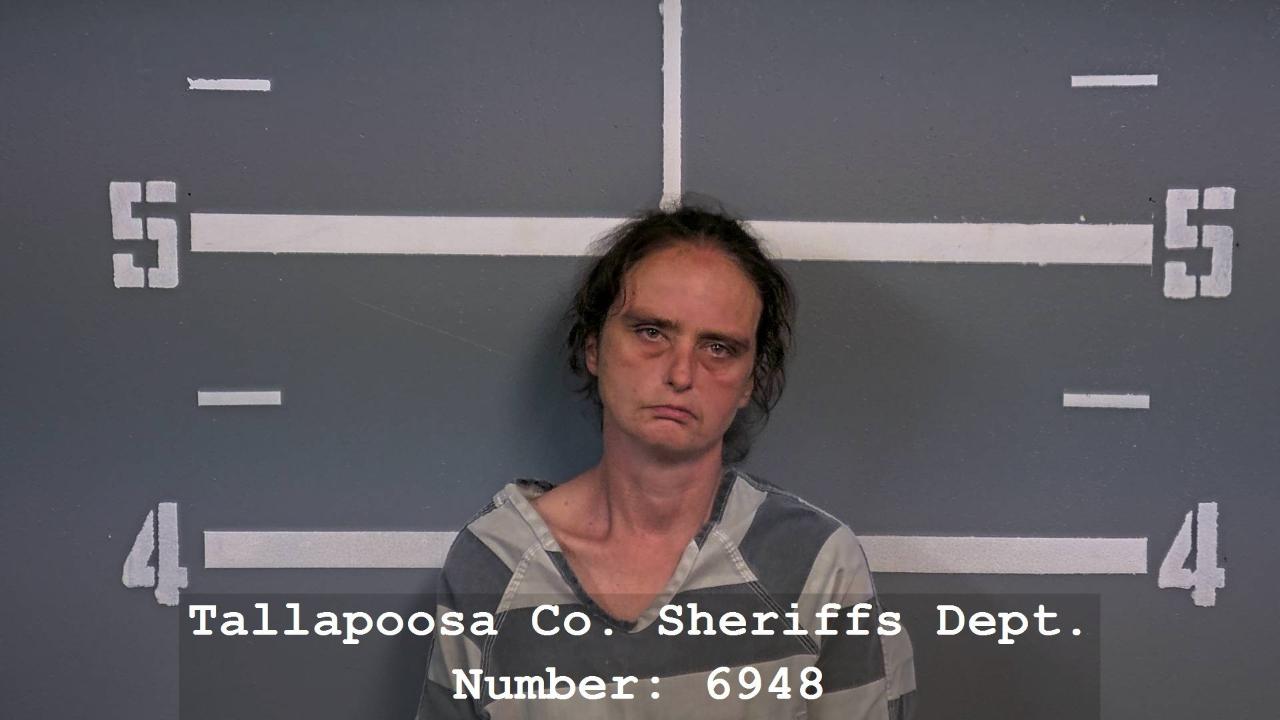 MCCORMICK, TIFFANY ANN charged with Endangering Welfare of Child