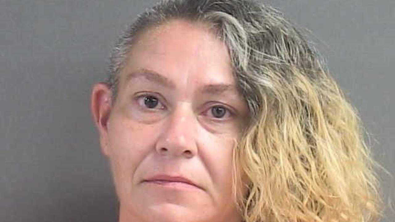 Sammons, Jeniffer Michelle Charged with Petit Theft Merch Farm Transit 2+ Prior Conv (Felony Petit Theft)