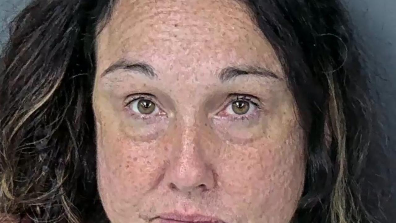 Ferrin, Jessica Jean Charged with Larc, Grand Theft 750 Less Than 5K Dols; Damage Prop-Crim Misch, Over 200 Dols Under 1000 Dols
