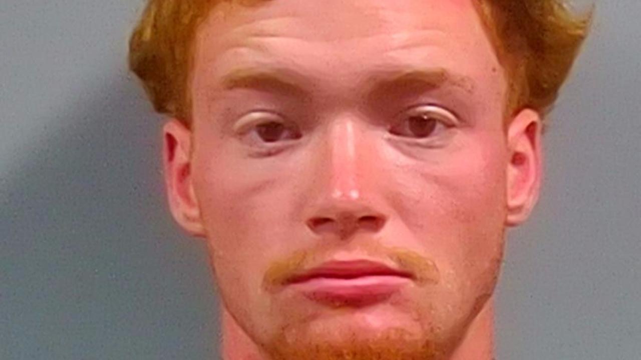 Lewis, Logan Douglas Charged with Battery; Prob Violation; Resist Officer