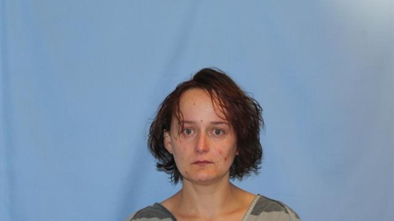 Johnston, Sonya Gaylon Charged with Criminal Mischief IN THE 1ST Degree; Terroristic Threatening in the First Degree; Leaving the Scene of an Accident (Property Damage)