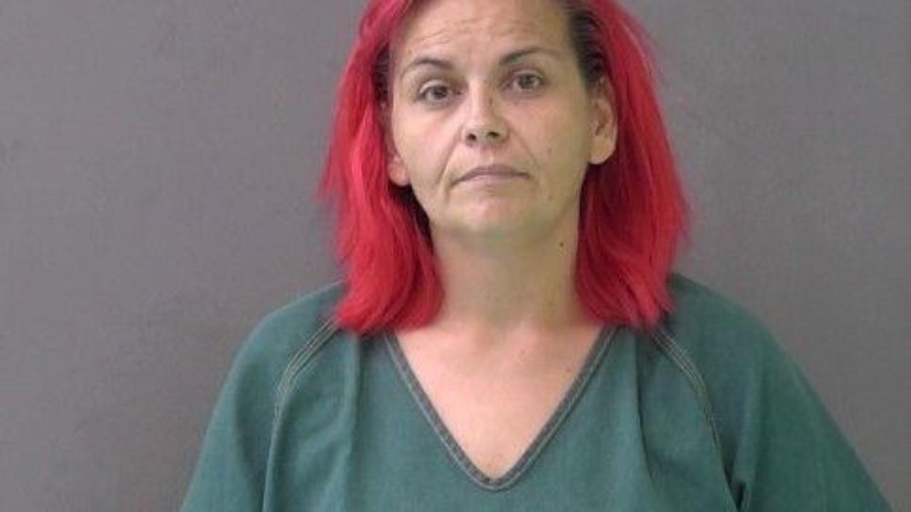 Cervantes, Kelly Anne Charged with PC 31.03 /Theft OF PROP>=$100<$750