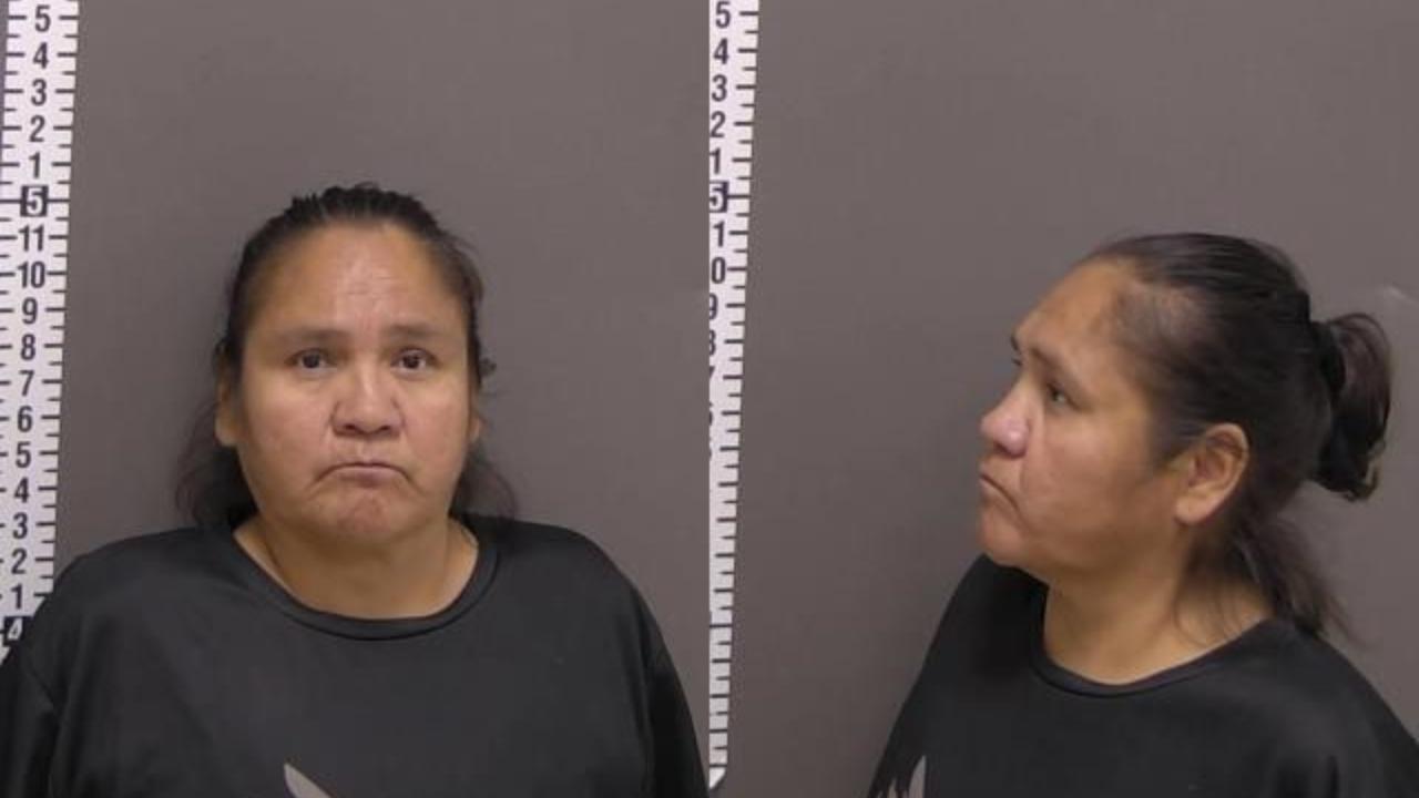 Lisa Ann Nickelson Charged with Fail to Appear