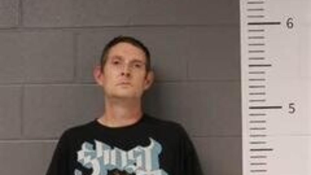 MICHAEL MCGEE charged with Failure to Appear Traffic Driving While Revoked; Failure to Appear Traffic Driving While Revoked; Failure to Appear Traffic; Failure to Appear Traffic; Failure to Appear; Possession of Marijuana 2nd