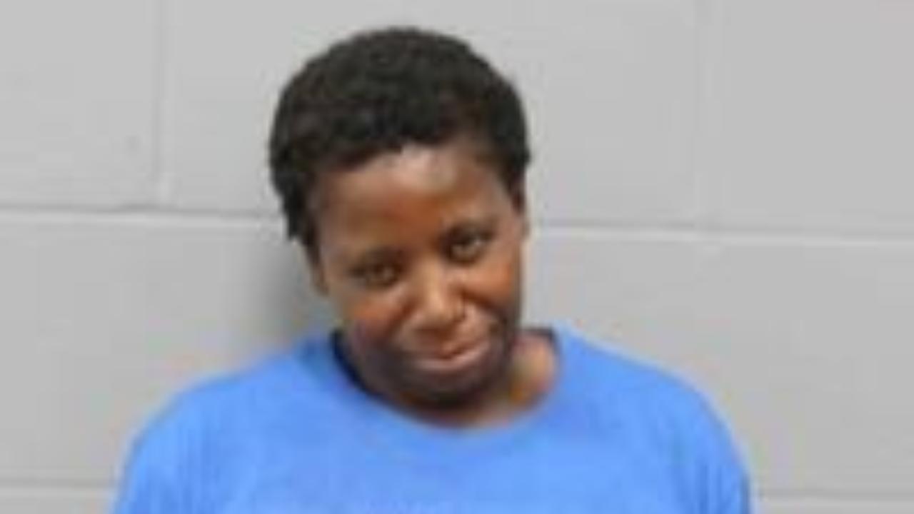 Hudson, Shahelen Michelle Charged with 99999 - Kcpd Hold
