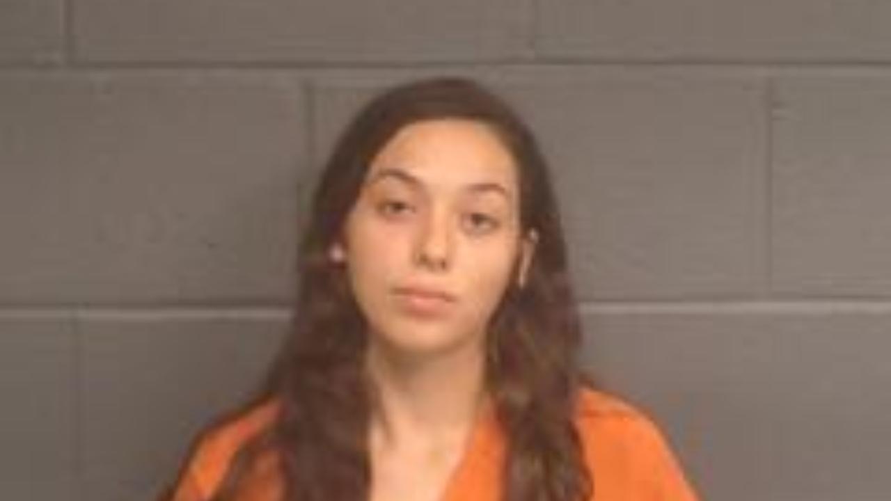 Adams, Dakota Rose Charged with Domestic Assault and Battery