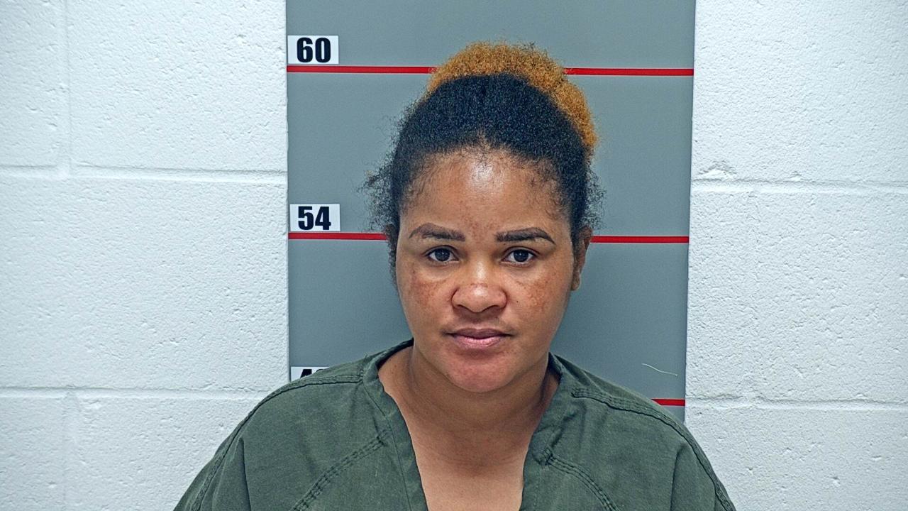 Leurbour, Hymide Charged with Us Department of Homeland Security / Ice