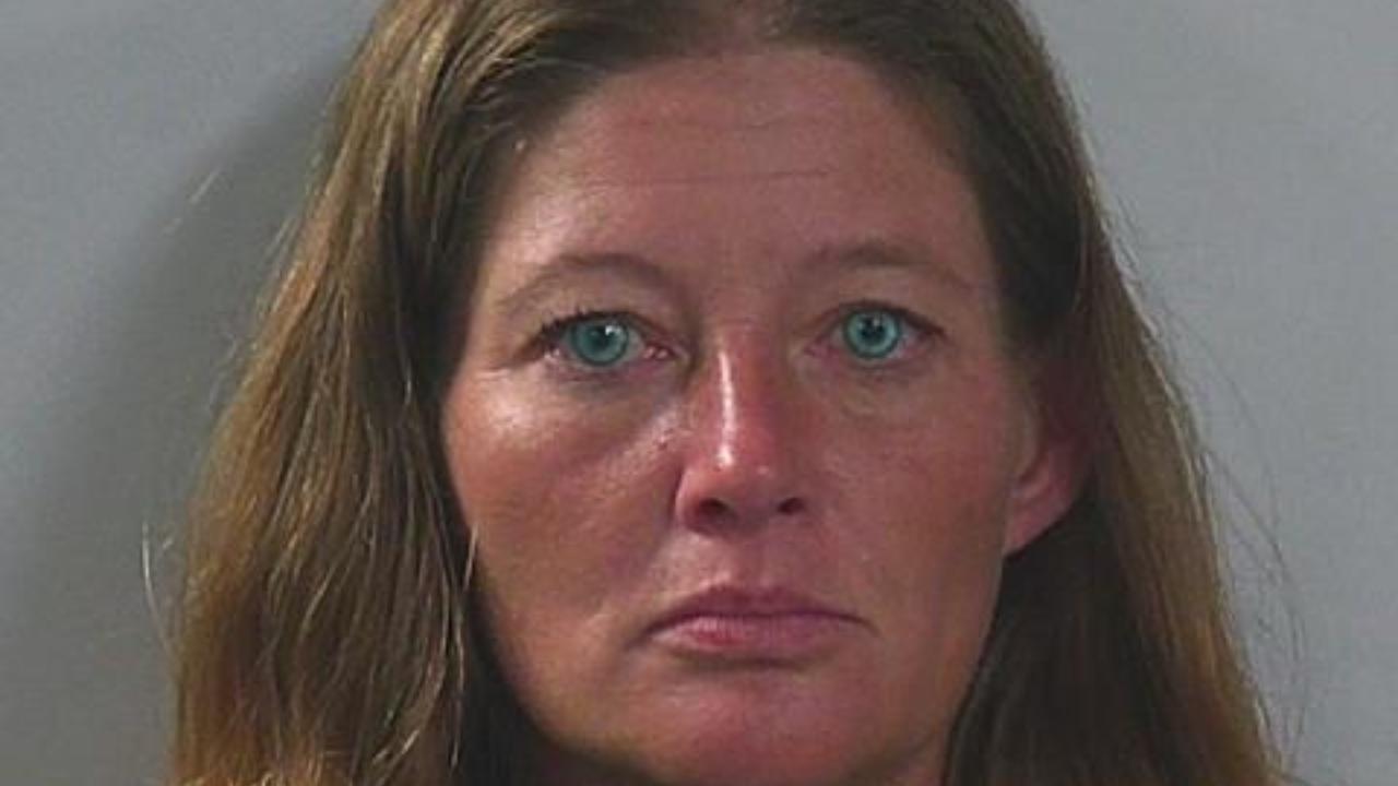 CYNTHIA MARIE MORRIS charged with Ada County Hold; False Information to Officer; Probation Violation [F]