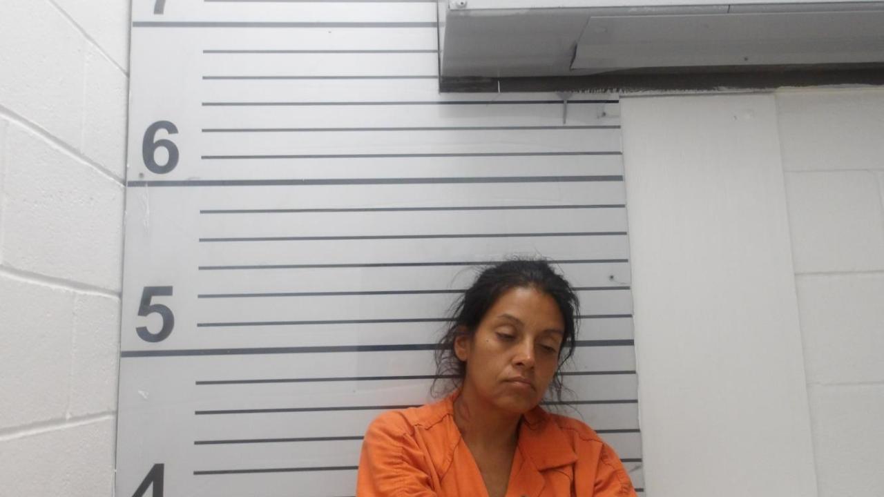 Amanda Jo Starr Charged with Burglary