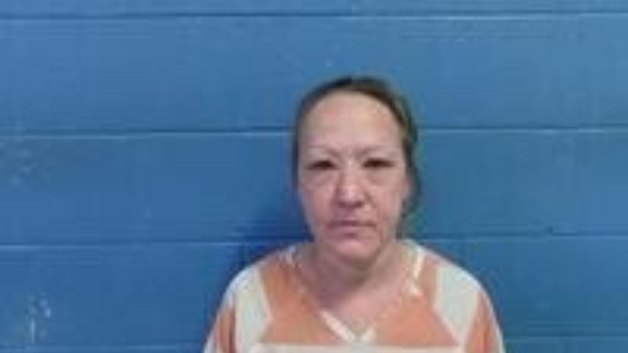 Jolynda S Elrod Charged with Violation of Probation