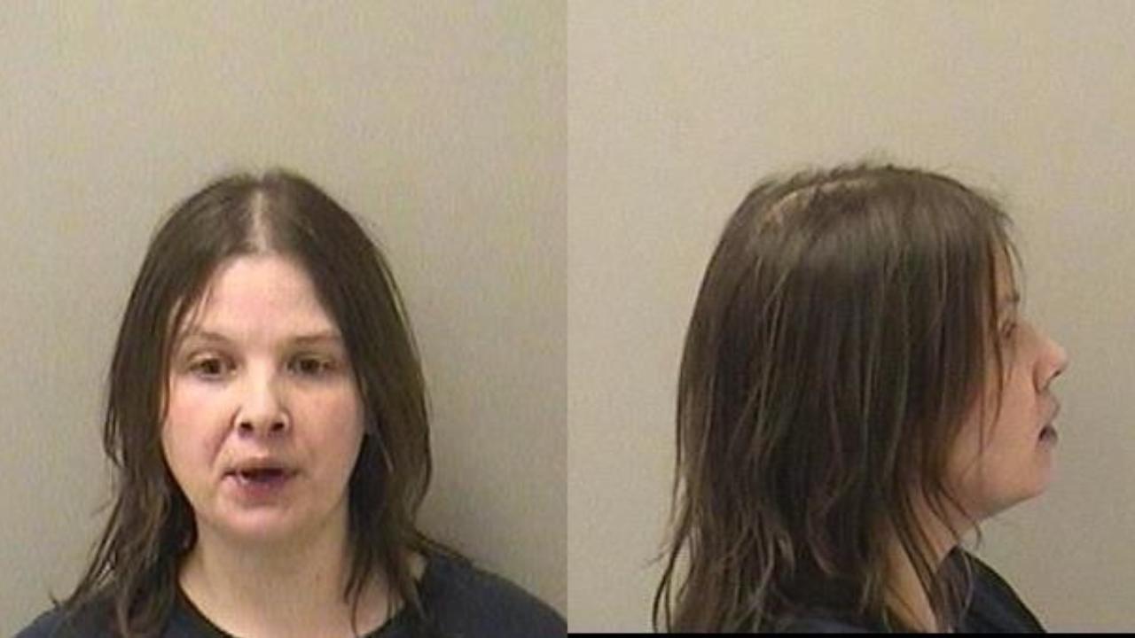 SARAH ANN ILLYES charged with DOMESTIC BATTERY Causes bodily harm to a family member or household member