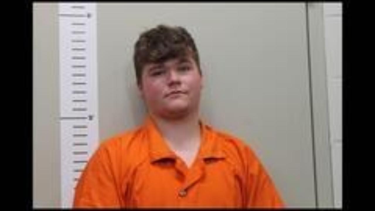 BRASFIELD, NICOLAS charged with Driving Under the Influence (Alcohol); Resisting Arrest