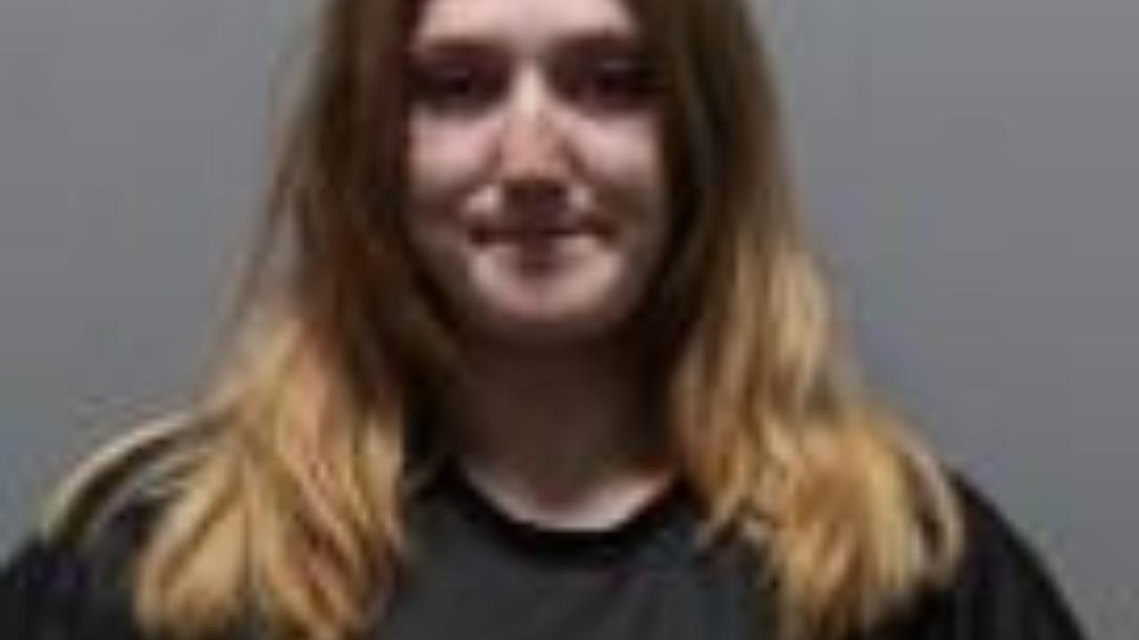 Sammons, Tamara Nicole Charged with Public Disorderly Conduct; Assault and Battery 3RD Degree
