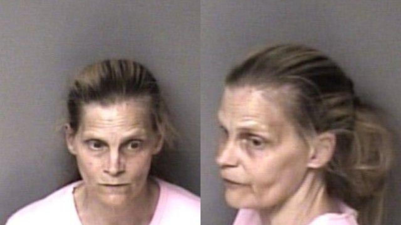 Paulson, Tracy Ann charged with Failure to Appear, Misdemeanor