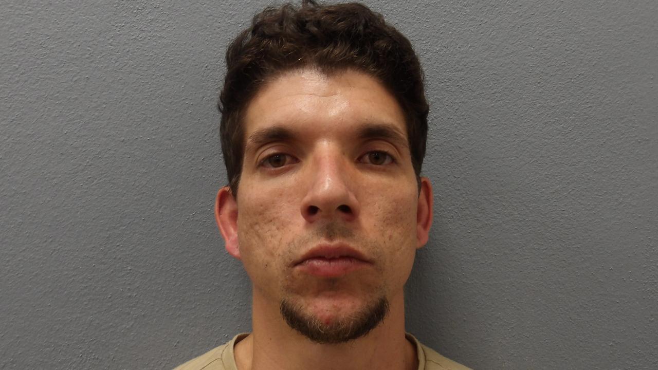 Gonzalez, Odel Charged with 1 Felony Count(S) of 893.13.6a Drugs-Possess
