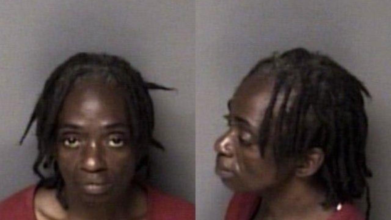 Gill, Alinda Larie charged with HABITUAL LARCENY