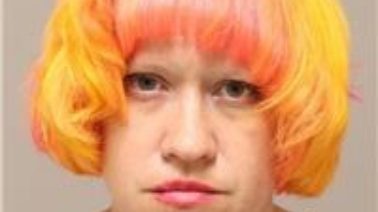 Erin Deann Stearns charged with Drugs - 5th Degree - Possess Schedule 1,2,3,4 or paraphernalia residual - Not cannabis/hemp; Giving Peace Officer False Name-of Another Person; Drugs - 5th Degree - Possess Schedule 1,2,3,4 or paraphernalia residual - Not cannabis/hemp