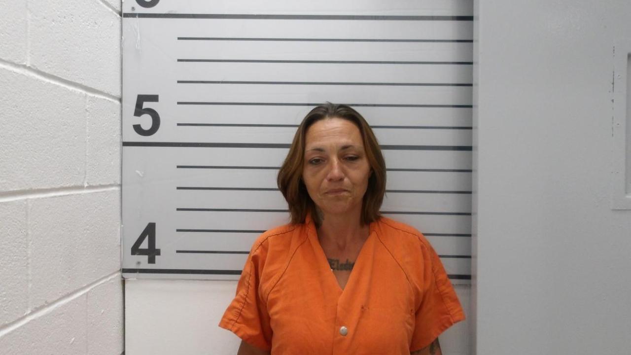 Jessica Perry Charged with Receive, Possess, Conceal Stolen Vehicle