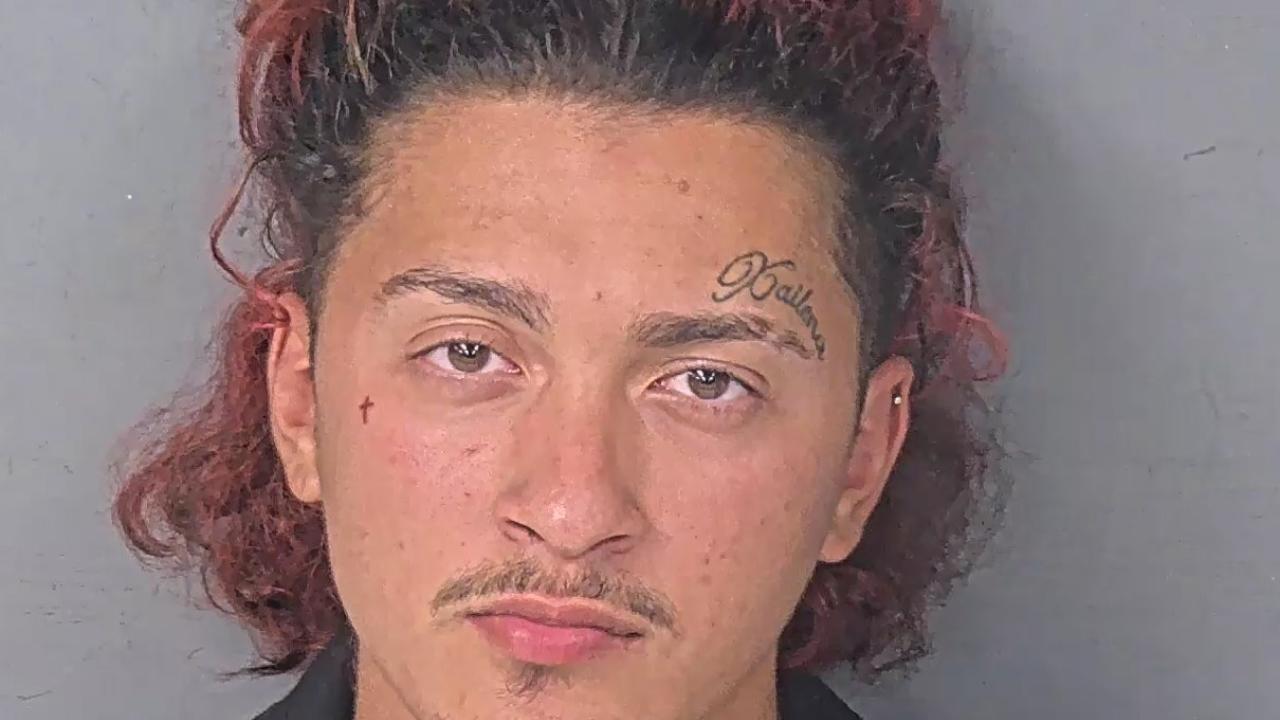 Pena, Jayden Charged with Larc, Petit Theft 2ND Degree 1ST Offense