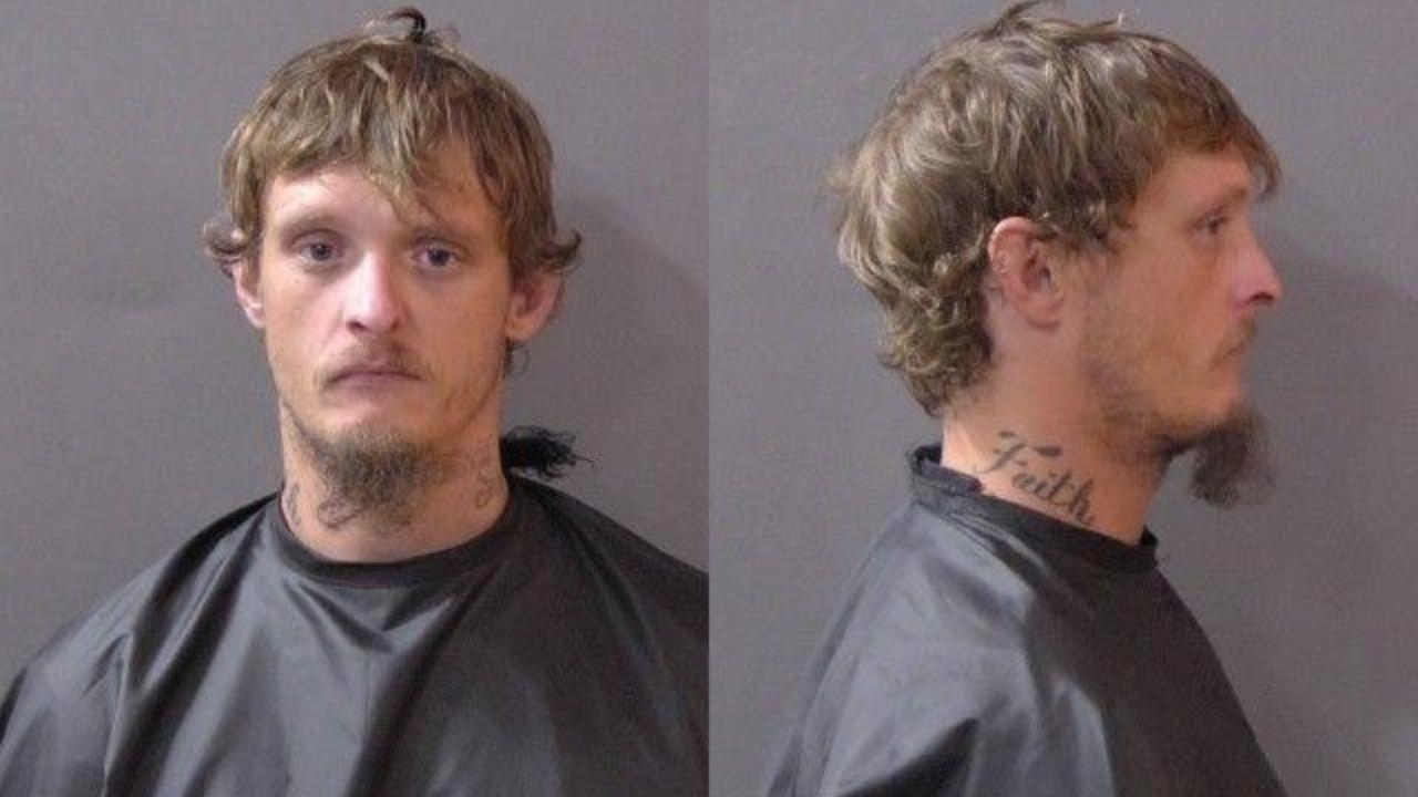 Davidson, Lance NMN Junior charged with Domestic battery AND has PRIOR conviction for any sort of battery or strangulation; Domestic battery committed in the presence of a child less than 16 years old by one who is at least 18 years old.; Domestic Battery Resulting in Moderate Bodily Injury; Domestic Battery basic offense