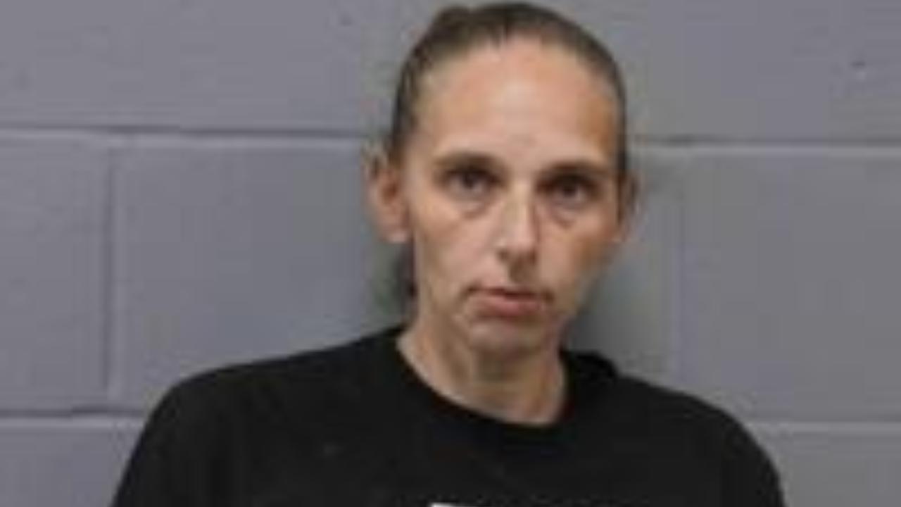 Johnson, Amy Nicole Charged with 568.045-005Y20253806.0 - Endangering Welfare of Child Creating Substantial RISK-1ST Degree - 1ST Offense - No Sexual Contact; 568.045-005Y20253806.0 - Endangering Welfare of Child Creating Substantial RISK-1ST Degree - 1ST Offense - No Sexual Contact; 568.045-005Y20253806.0 - Endangering Welfare of Child Creating Substantial RISK-1ST Degree - 1ST Offense - No Sexual Contact; 568.045-005Y20253806.0 - Endangering Welfare of Child Creating Substantial RISK-1ST Degree - 1ST Offense - No Sexual Contact; 579.015-001Y20223572.0 - Possession of Controlled Substance; 577.010-031Y20205403.0 - Dwi - Person Less Than 17 Yoa in Vehicle; 304.015-014N20205405.0 - Fail to Drive on Right Half of Rdwy When Rdwy Was of Sufficient Width