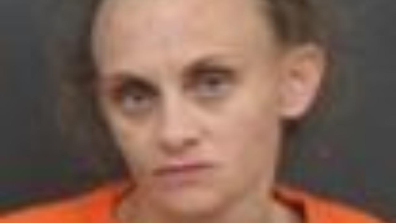 Hicks, Shawna Renee Charged with Retail Theft - Taking Merchandise from Retail Establishment with Intent to Deprive Merchant Without; Possession of Controlled Substance (Pending)
