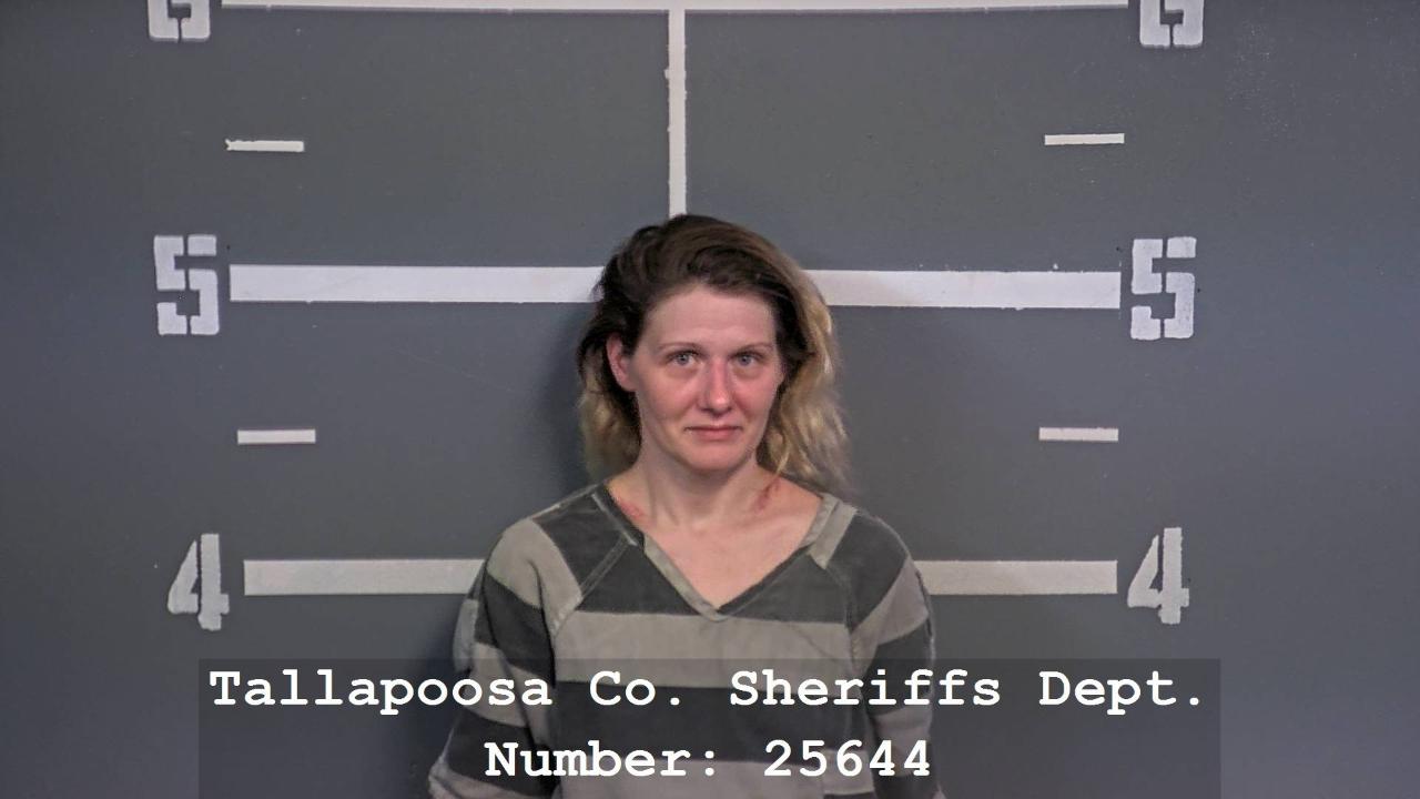 CARLISLE, MEGAN LANAE charged with Theft of Property 4th degree