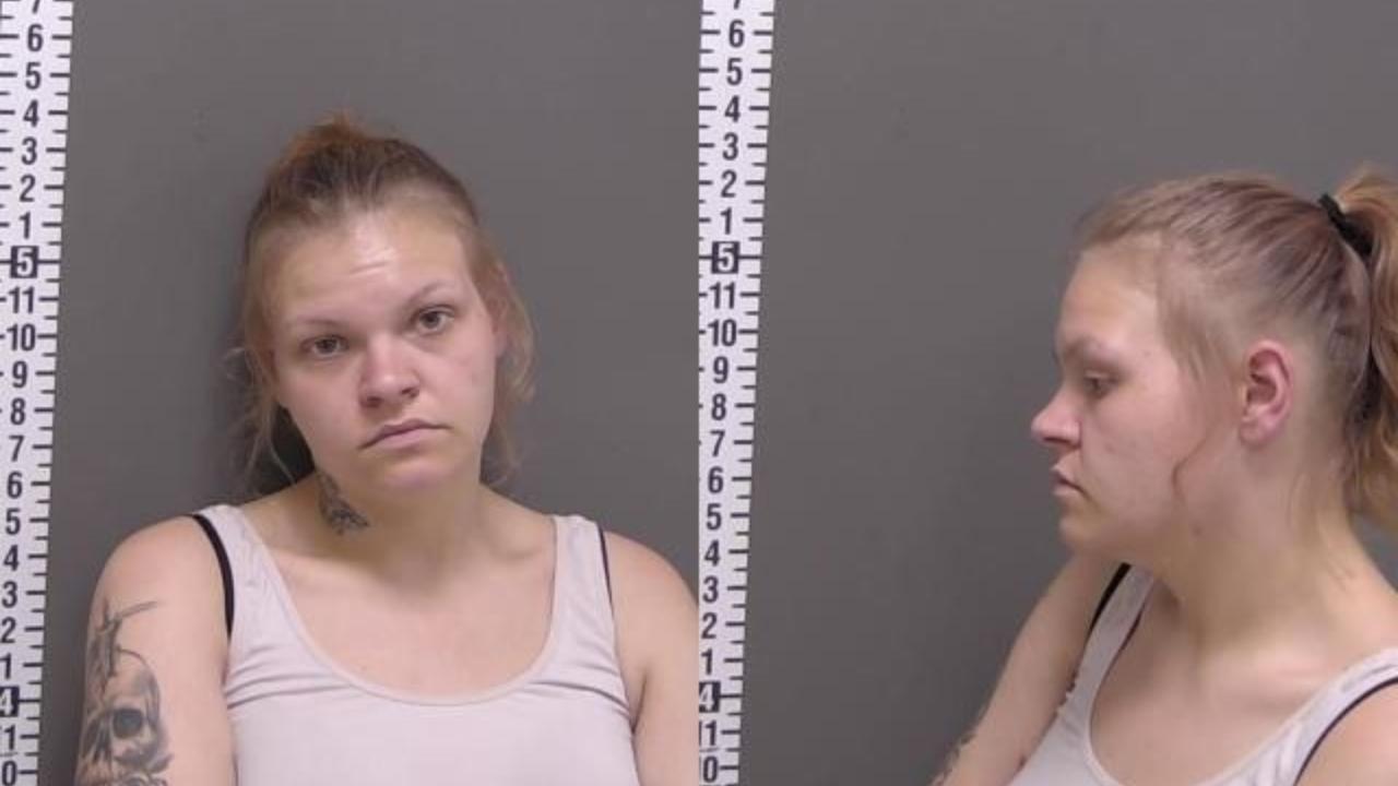 TATUM PAIGE BENSON charged with PROBATION VIOLATION; Theft-Take-Under $500-1st offense (Shoplifting) (MB)