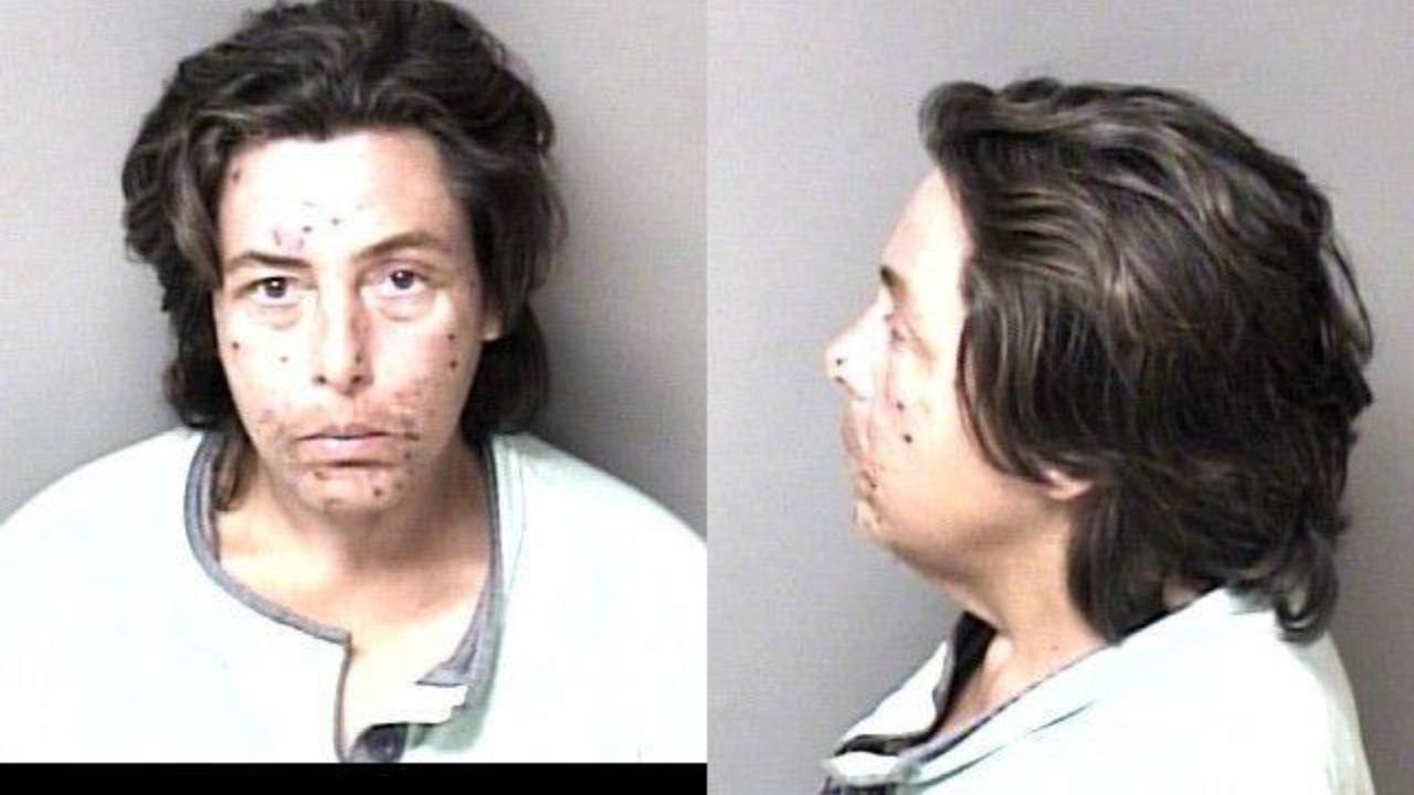 Johnson, Deanna Leigh charged with Failure to Appear, Misdemeanor