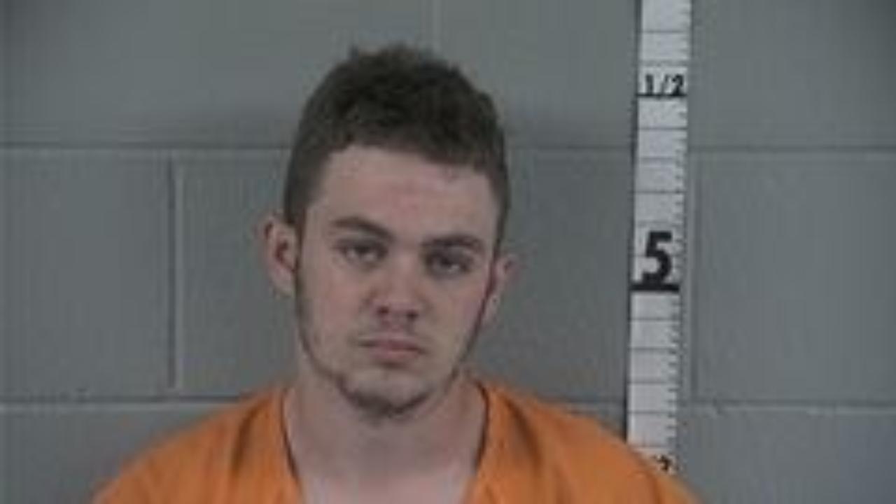 WILLSON, DAKOTA charged with Dealing in marijuana hash oil hashish or salvia; Possession of marijuana hash oil hashish or salvia; Operating a vehicle while intoxicated endangering a person; Operating While Intoxicated Per Se Controlled Substance; Operating While Intoxicated Per Se