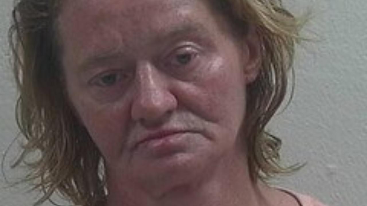 ERICA L PETHERS charged with VIOL DOMV-NO CONTACT/REST ORDR; Cont Subst/Possess Paraphen; Probation/Parole Violation