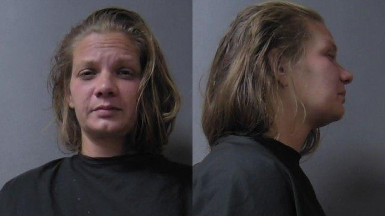 Hamilton, Elizabeth Rae charged with Criminal Recklessness w/Deadly Weapon; Domestic battery-adult knowing presence of child less than 16 years old (see or hear); Domestic battery-deadly weapon; RLE - Draws Weapon