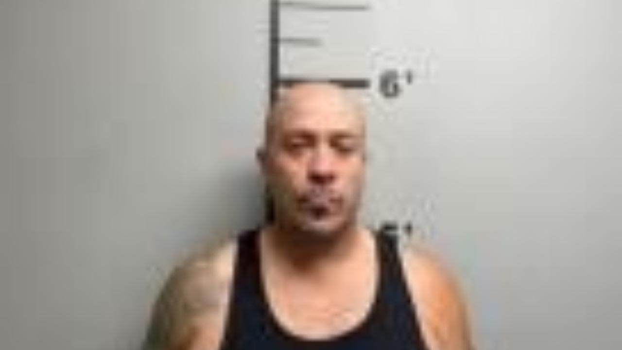 Steward, Thomas Edward Jr Charged with Possession of Firearms by Certain Persons; Revoke Warrant White Warrant Issued by Benton, Ar