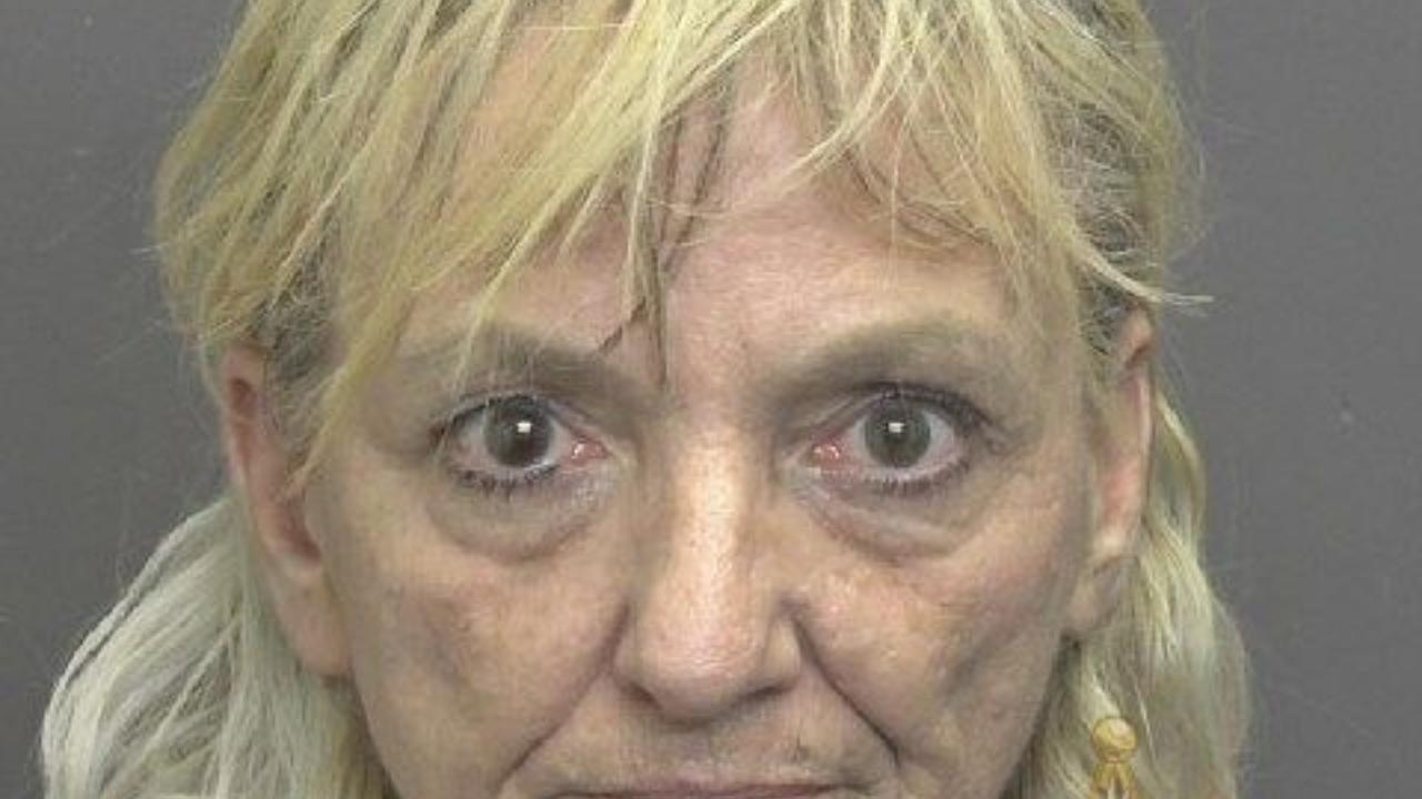 Denise Michelle Risse Charged with Controlled Substance- Possession Schedule I, Ii, Iii, Iv, V; Motor Vehicle- Operating a Vehicle While Intoxicated; Motor Vehicle- Operating a Vehicle While Intoxicated- Endang; Motor Vehicle- Driving While Suspended- Prior Suspension Wit