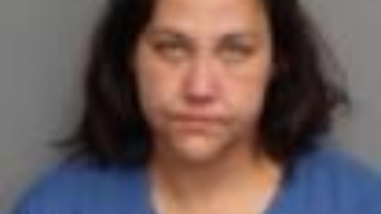 RAMIREZ, JENNIFER LYNN charged with 622 - Disorderly / Public disorderly conduct