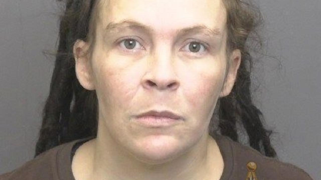 Jennifer Aline Sauer Charged with Petition to Revoke Probation; Other Agencies Charges; Controlled Substance- Possess Paraphernalia