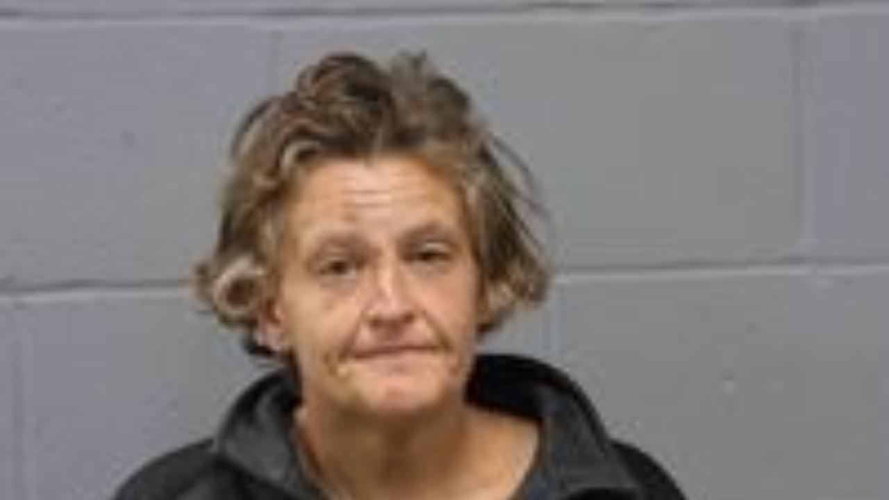 Rabinowitz, Sarah Rose Charged with 99999 - Kcpd Hold