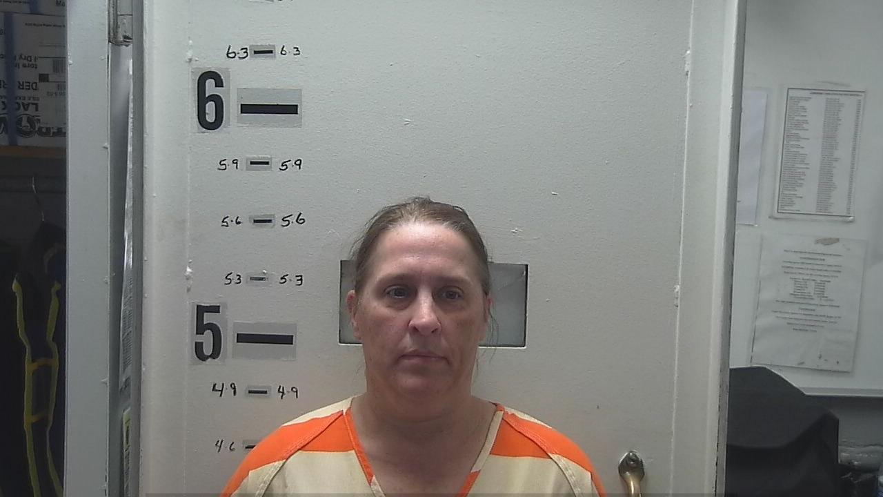 SAPP, SHANNON D charged with Aggravated Discharge Firearm
