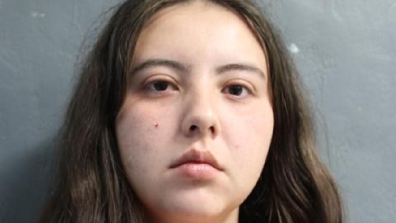Tanner, Madison Jo Charged with Domestic Assault and Battery