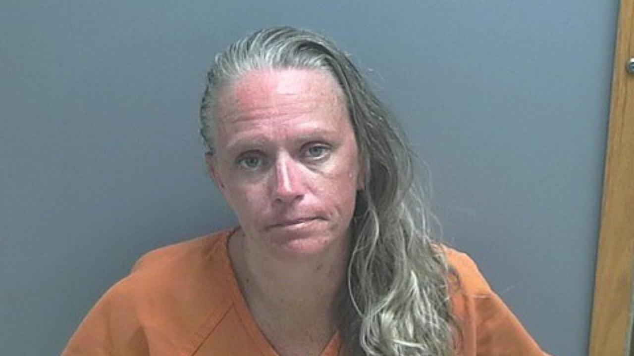 Knecht, Kimberly Dee Charged with Controlled Substance- Possess Methamphetamine; Fraud; Theft- Value of Property at Least $750 and Less That $50,000; Theft- Prior Unrelated Conviction for Theft or Conversion