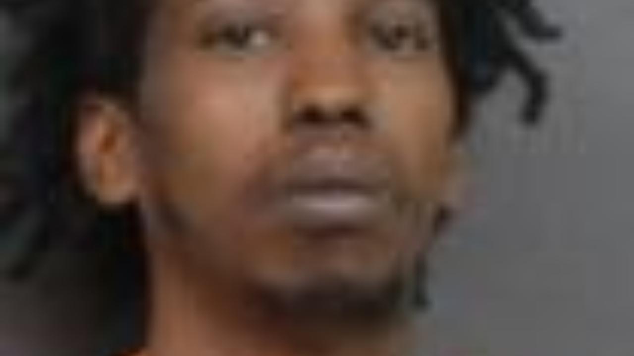 Euring, Raid Malik Charged with Aggravated Battery - Peace Officer, Policing Volunteer, Fireman, Security Ofc - Minor/No Injury - No Dangerous Weapon (Pending)