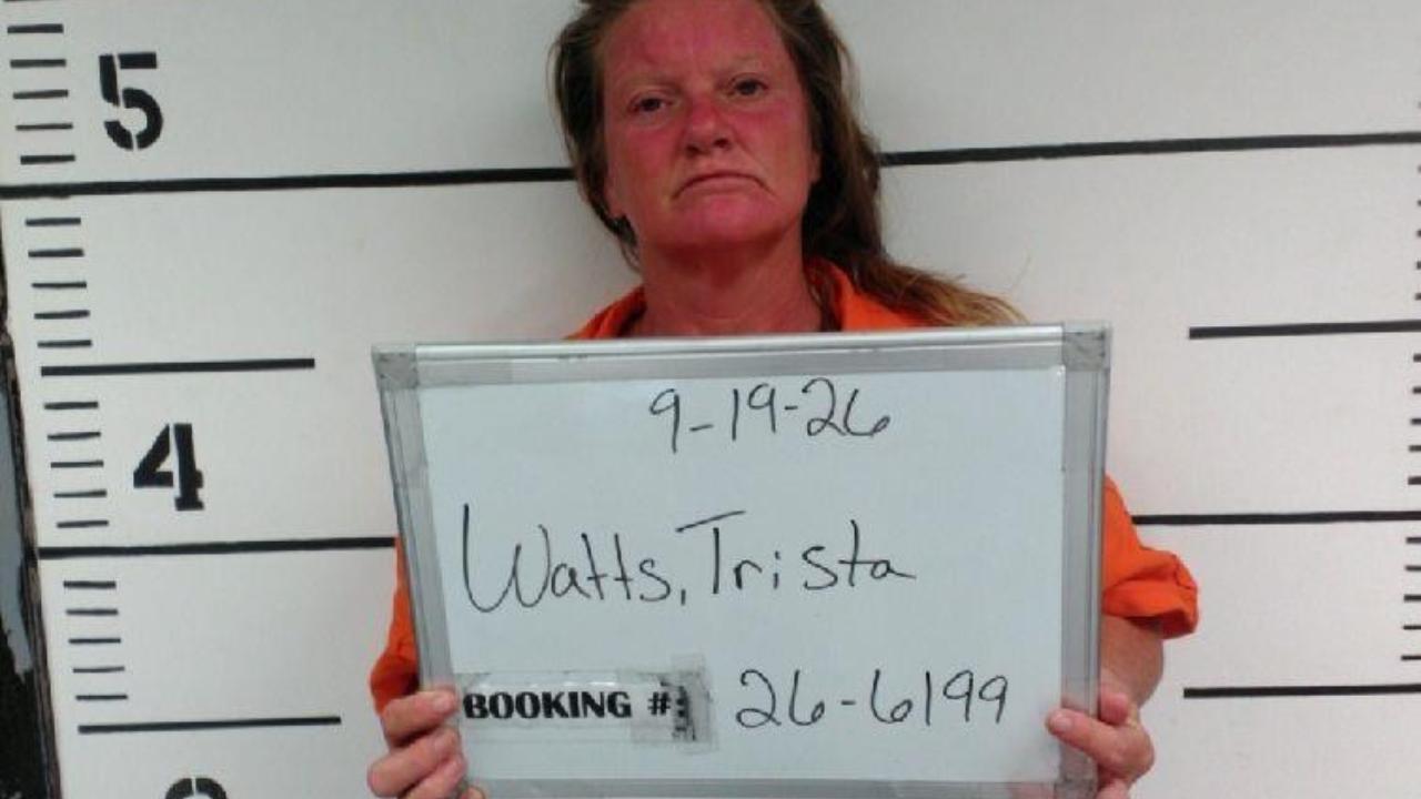 WATTS, TRISTA LEE ANN charged with Public Intoxication - Danger to self or others*