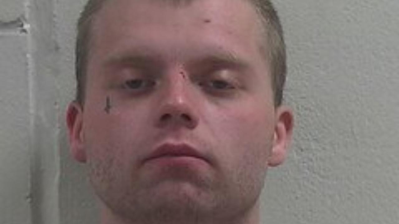 BRANDON L HOLLIDAY charged with THEFT, FIREARM; Probation/Parole Violation