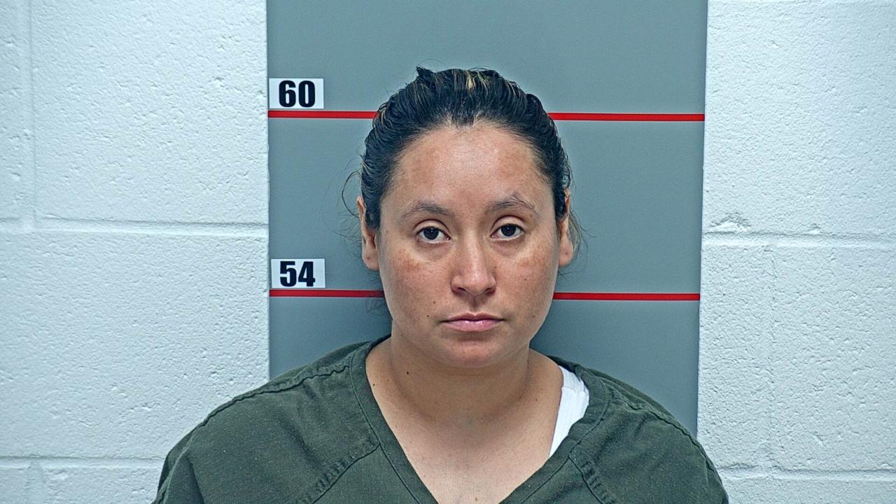Castano Castano, Yesenia Charged with Us Department of Homeland Security / Ice