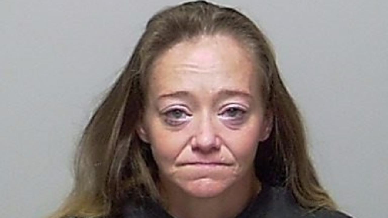 Andreas, Teresa Diane Charged with Moving Traffic Viol; Making False Report
