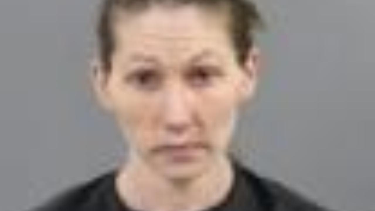 RIFE, DANA MICHELLE charged with 2403 - Harassment / 1st Degree Harassment