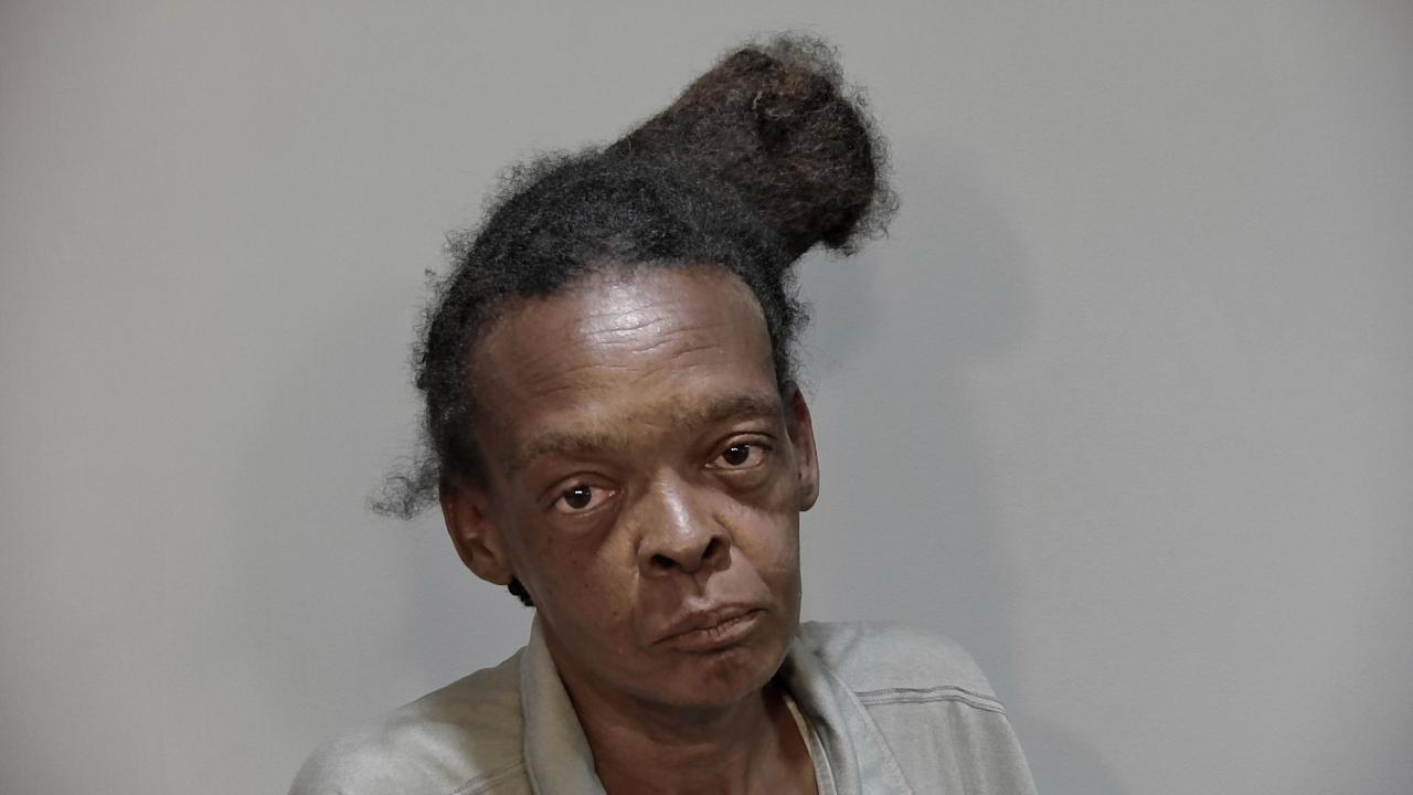 HEARNS, KIM DONNETTA charged with 1 Misdemeanor Count(s) of 810.08.2b TRESPASSING; 1 Misdemeanor Count(s) of 812.014.2f LARC; 1 Misdemeanor Count(s) of 812.014.2e1 LARC; 1 Misdemeanor Count(s) of 812.014.2e1 LARC; 1 Misdemeanor Count(s) of 812.014.2e1 LARC