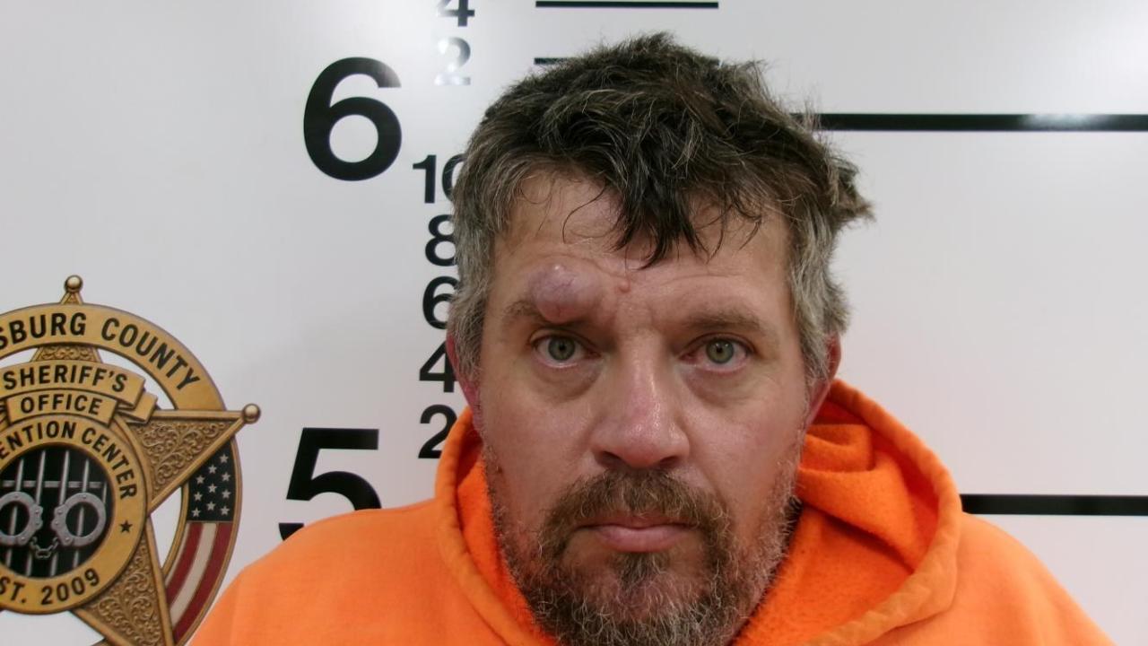 Sullivan, Michael Wayne Charged with Domestic Assault and Battery